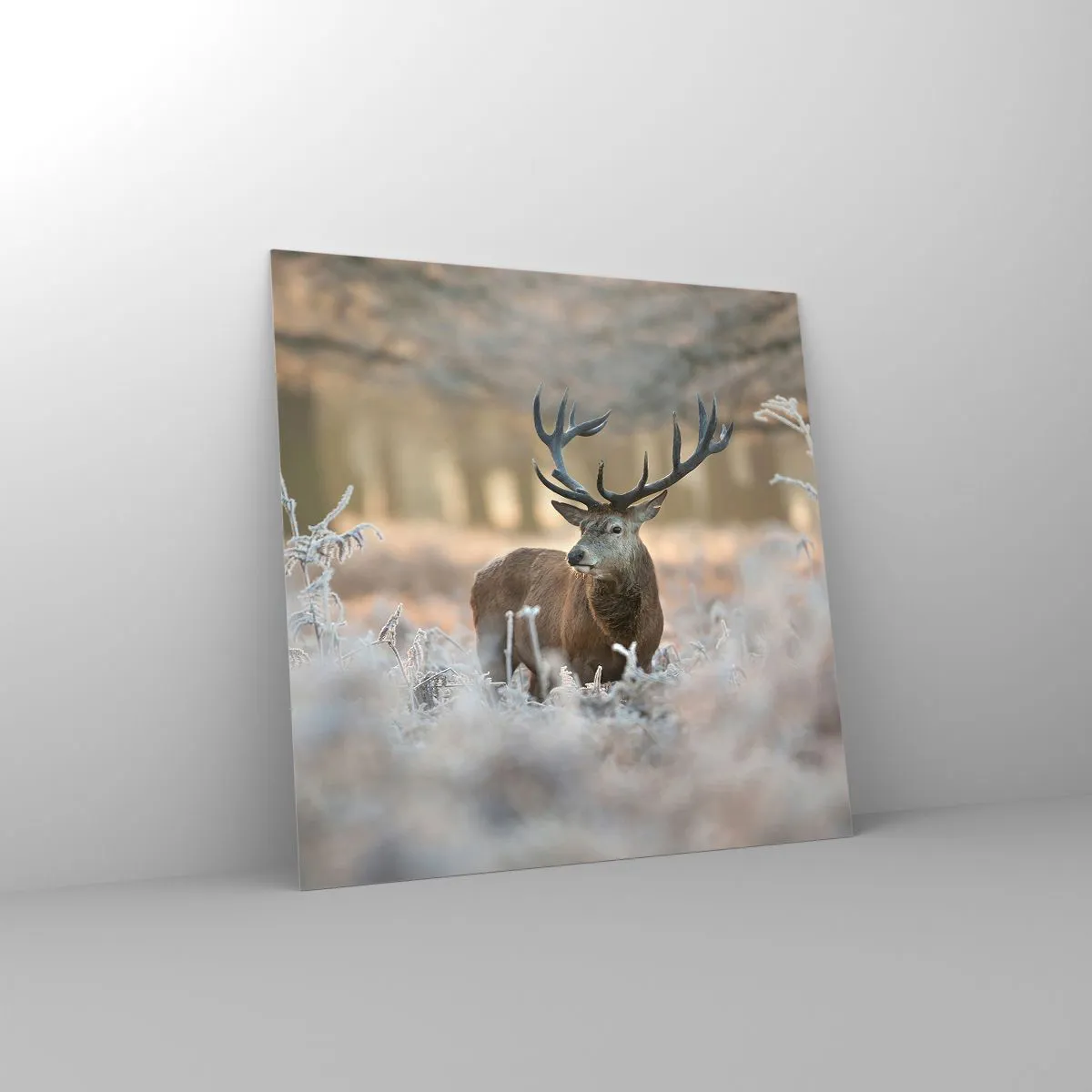 Obraz na szkle - Rześki poranek - 50x50 cm