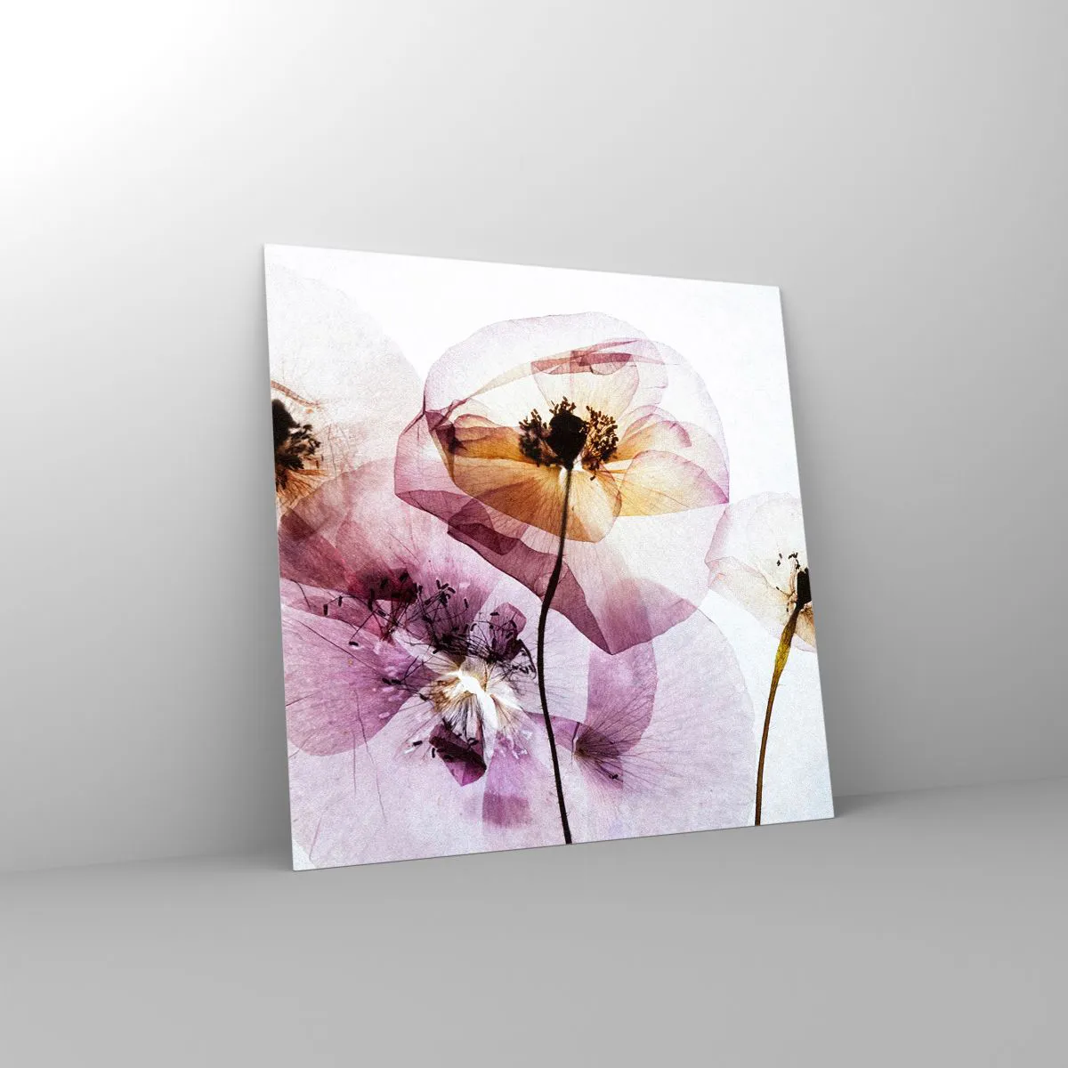 Impression sur verre - Image sur verre - Corps de fleurs transparente - 50x50 cm