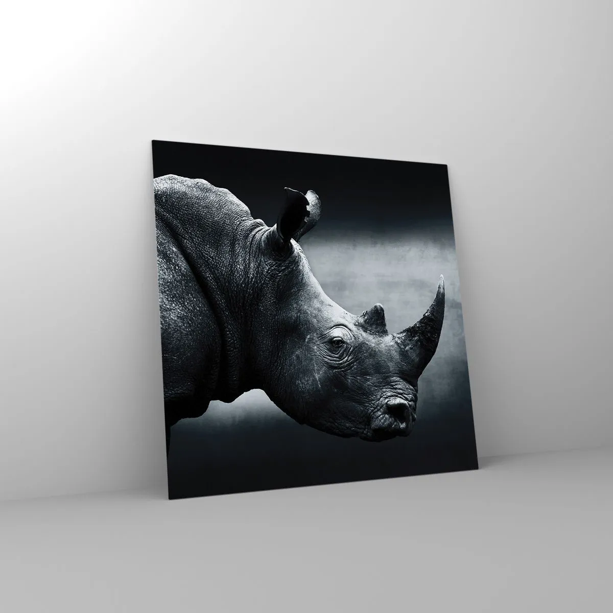 Glasbild - Bild auf glas - Richtiges Profil - 50x50 cm