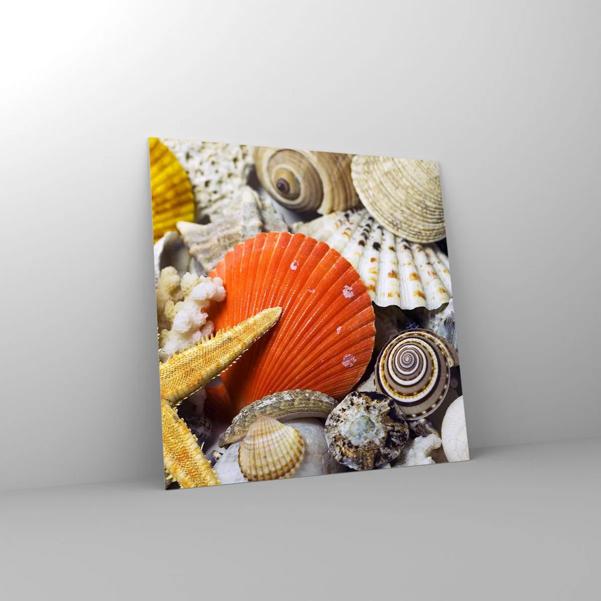 Quadro su vetro - Tesori dell'oceano - 60x60 cm