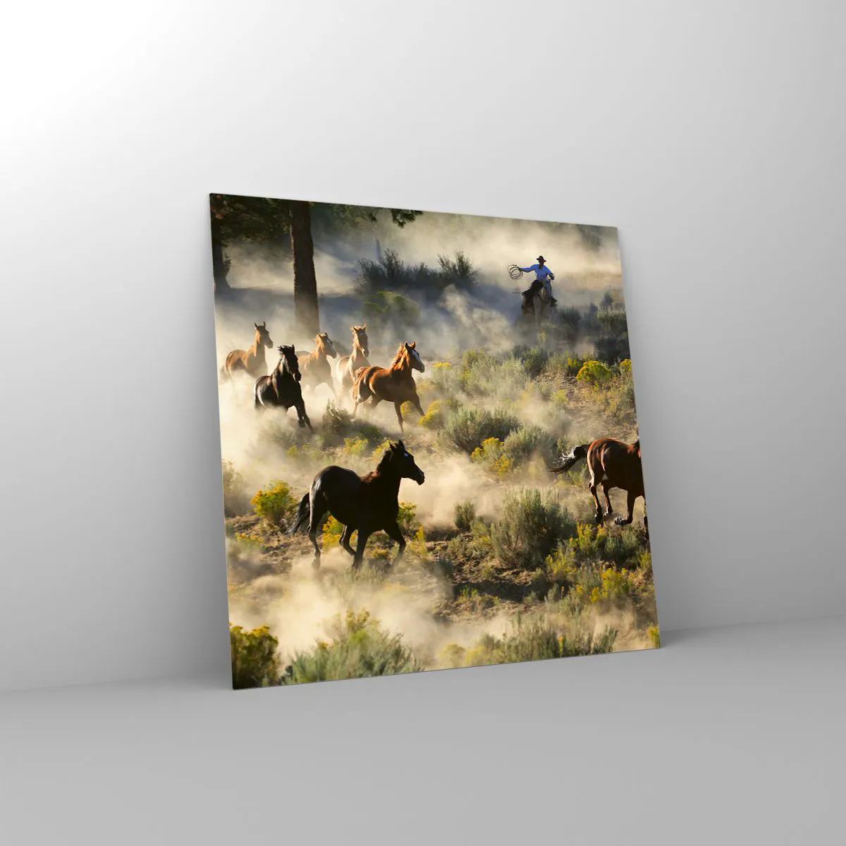 Glasbild - Bild auf glas - Rivalität – Freiheit oder männliche Stärke? - 60x60 cm