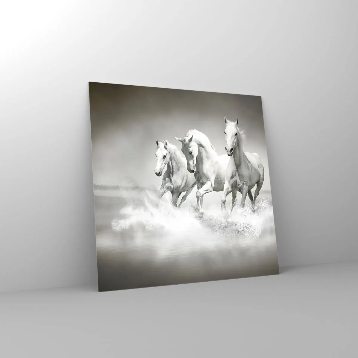 Glass picture - White Madness - 60x60 cm