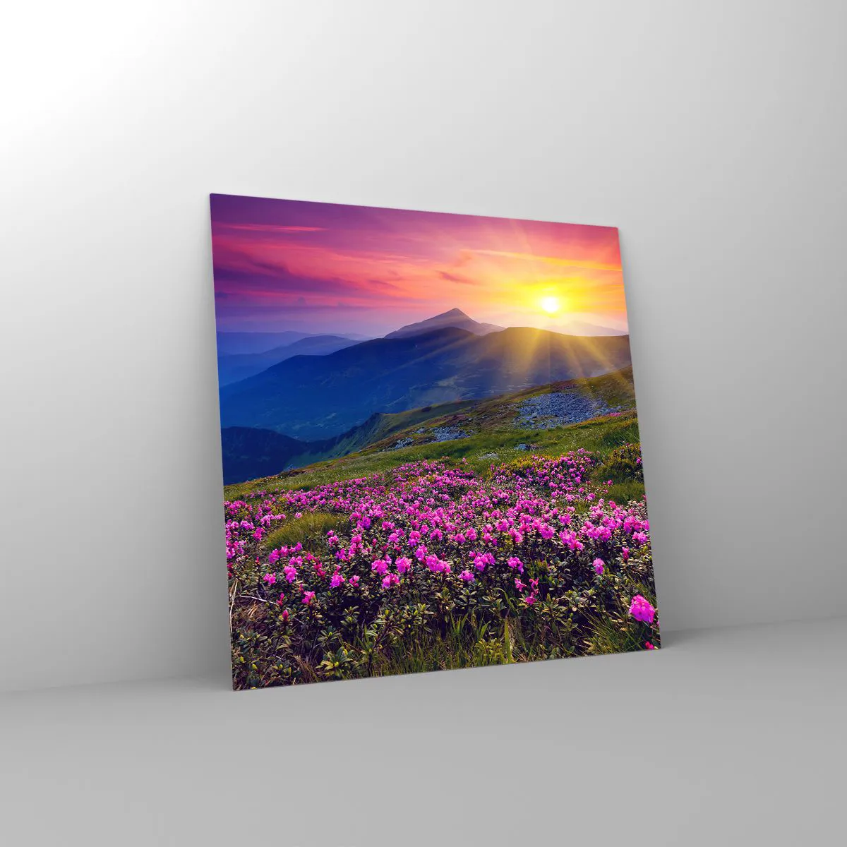 Obraz na skle - …A okolo vonia kosodrevina a voňajú byliny - 60x60 cm