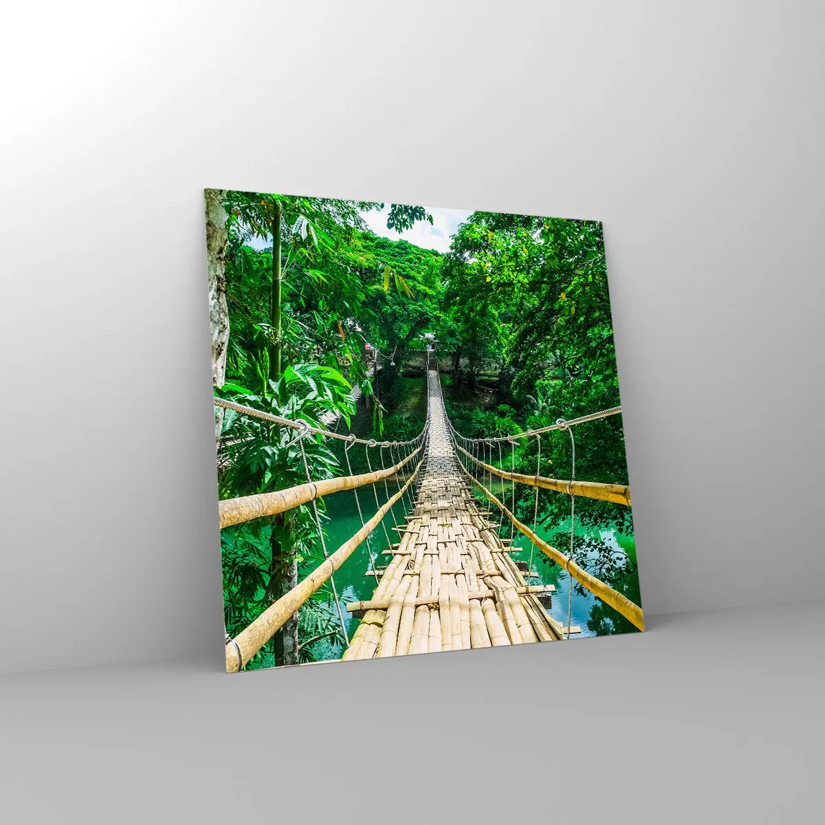 Üveg kép - Majomhíd a zöld felett - 60x60 cm