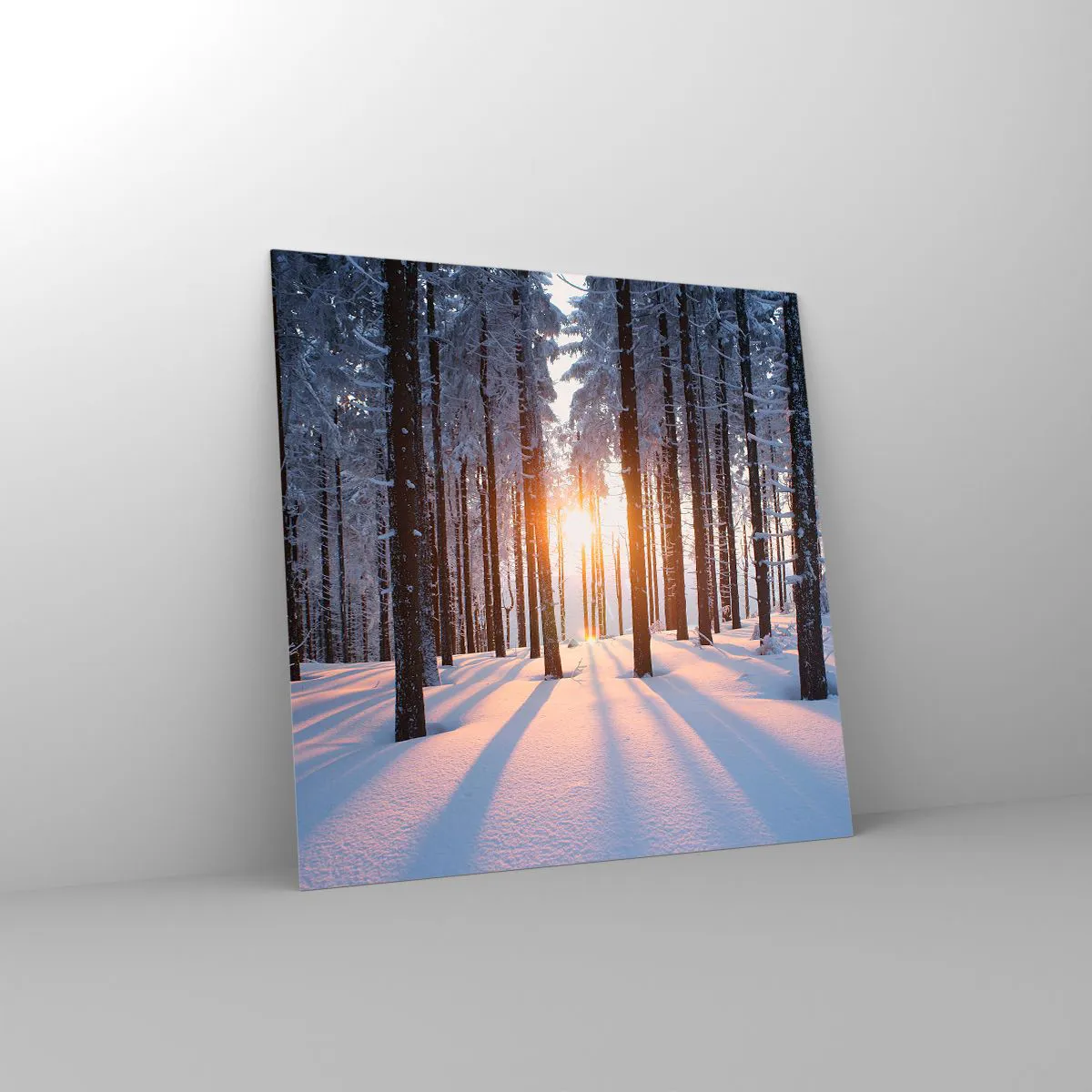 Tablou pe sticlă - În mod clar în alb și negru - 60x60 cm