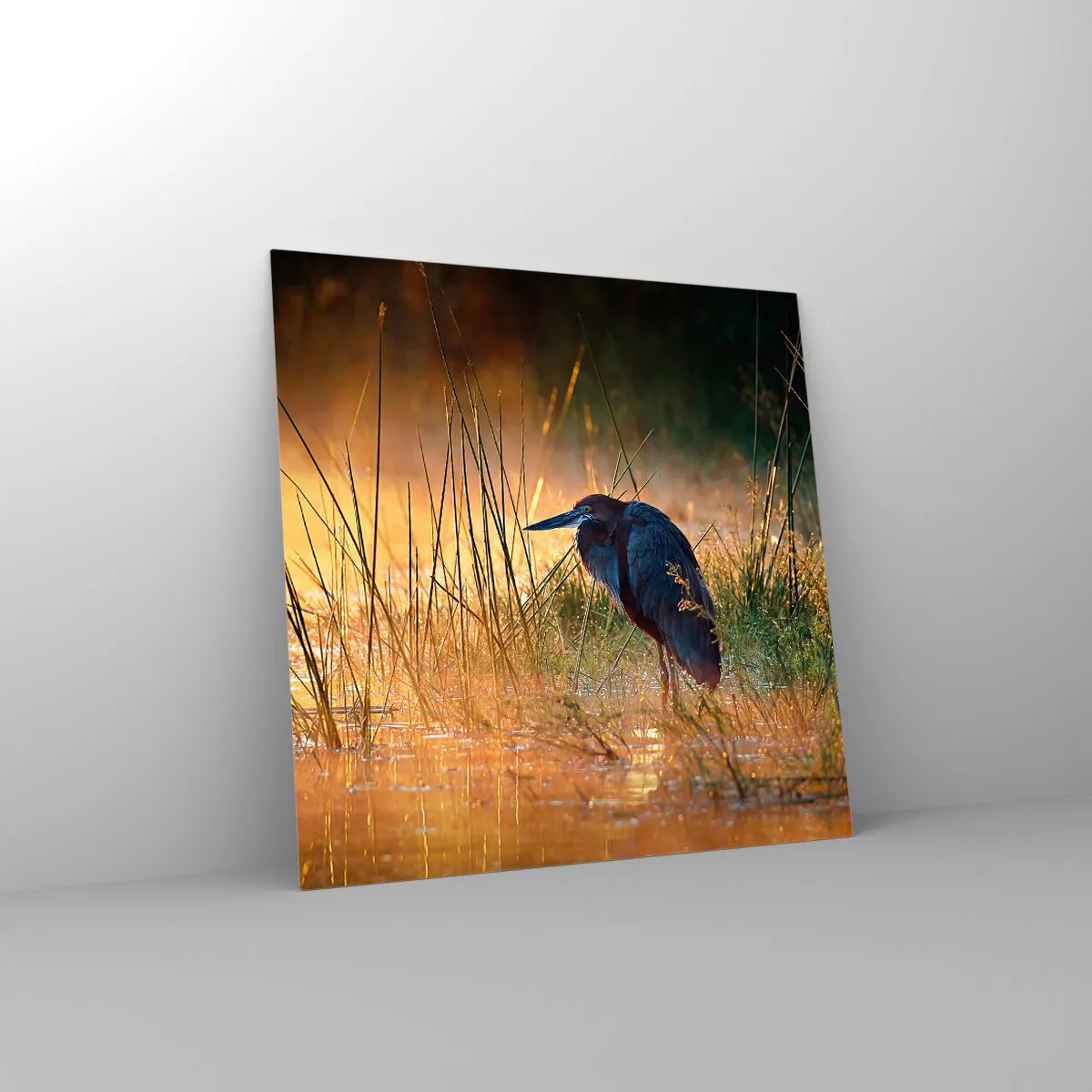 Üveg kép - Hagyjatok békén ezekkel a fotókkal - 60x60 cm