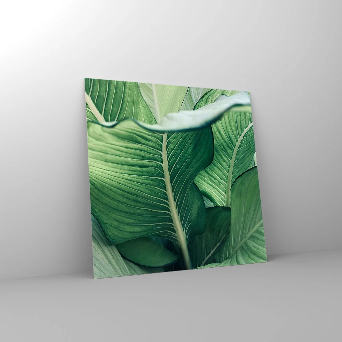 Impression sur verre - Image sur verre - Une vie intensément verte - 60x60 cm