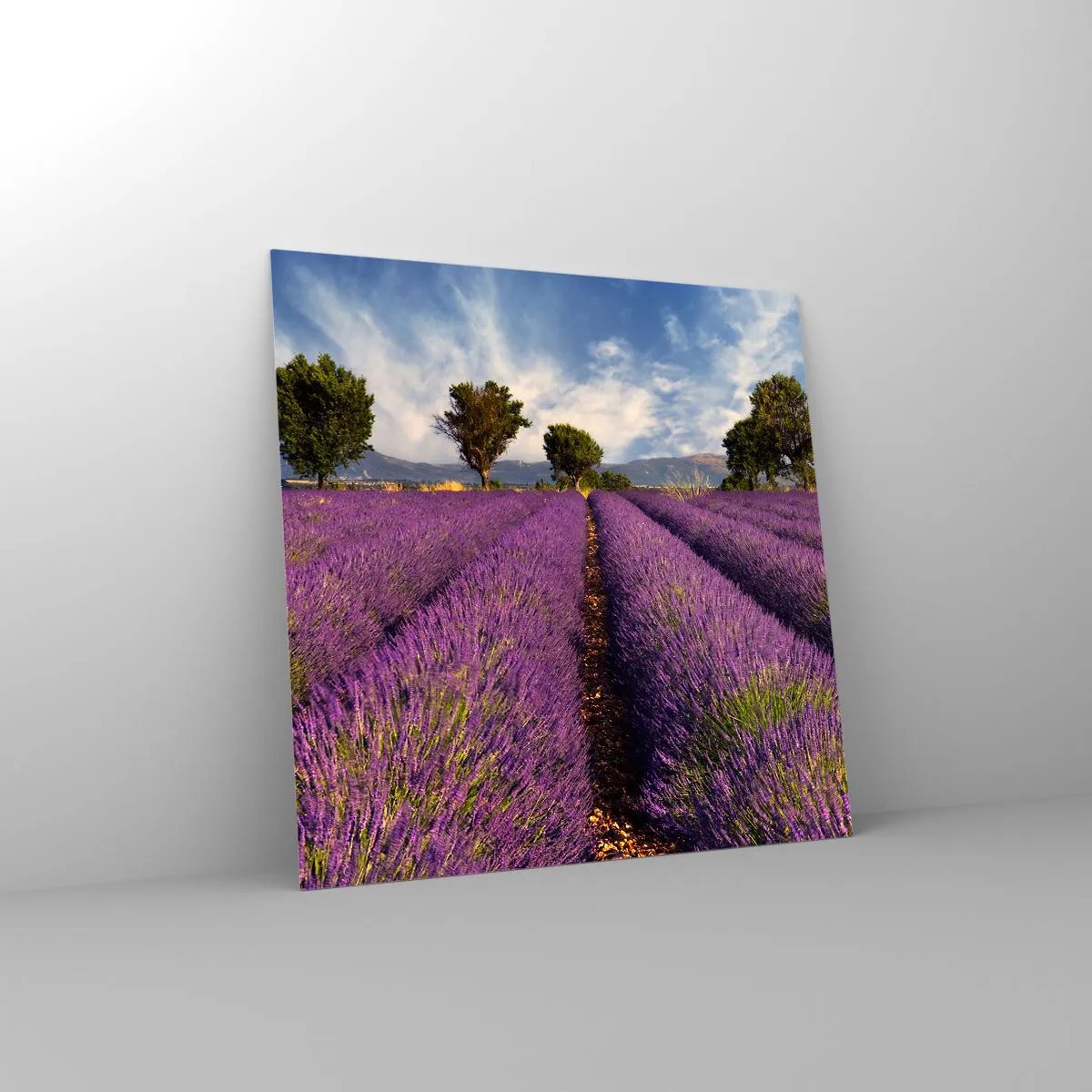 Glass picture - Lavender Fields - 70x70 cm