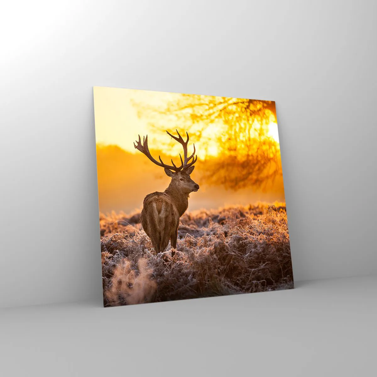 Impression sur verre - Image sur verre - Roi de la forêt automnal - 70x70 cm