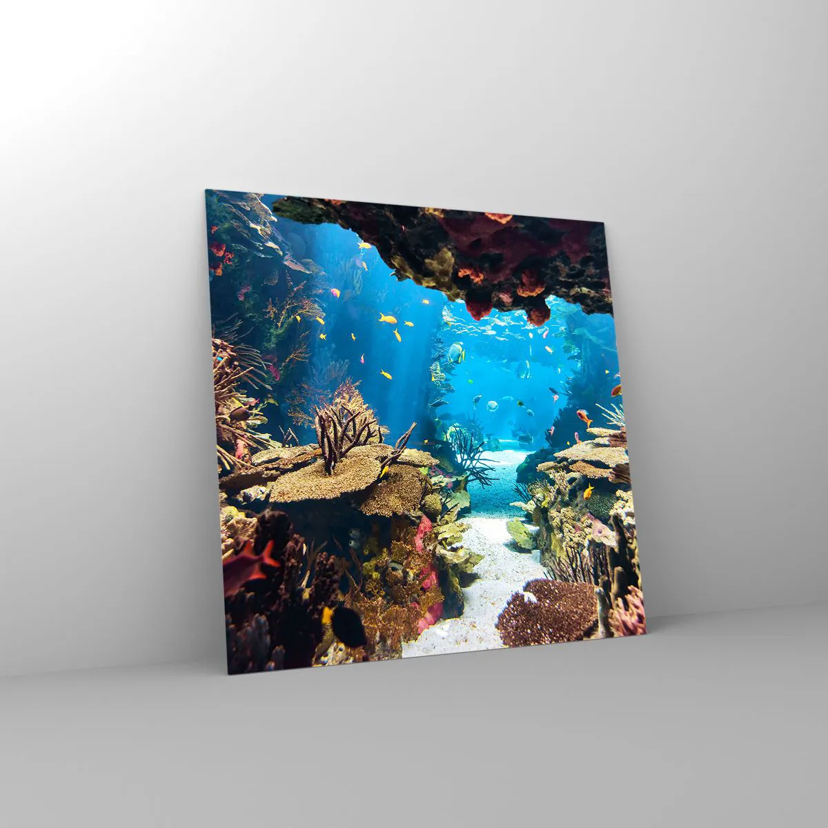 Impression sur verre - Image sur verre - Tu ne l'as même pas rêvé - 70x70 cm