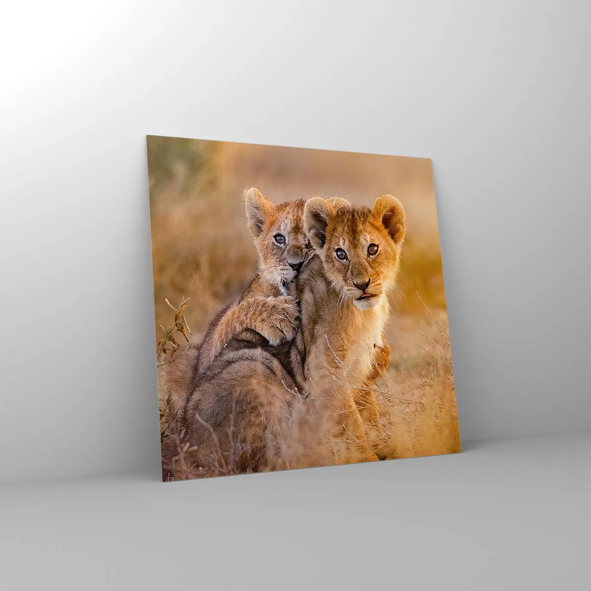 Obraz na skle - Nevyrušovať! Hrajme sa - 70x70 cm