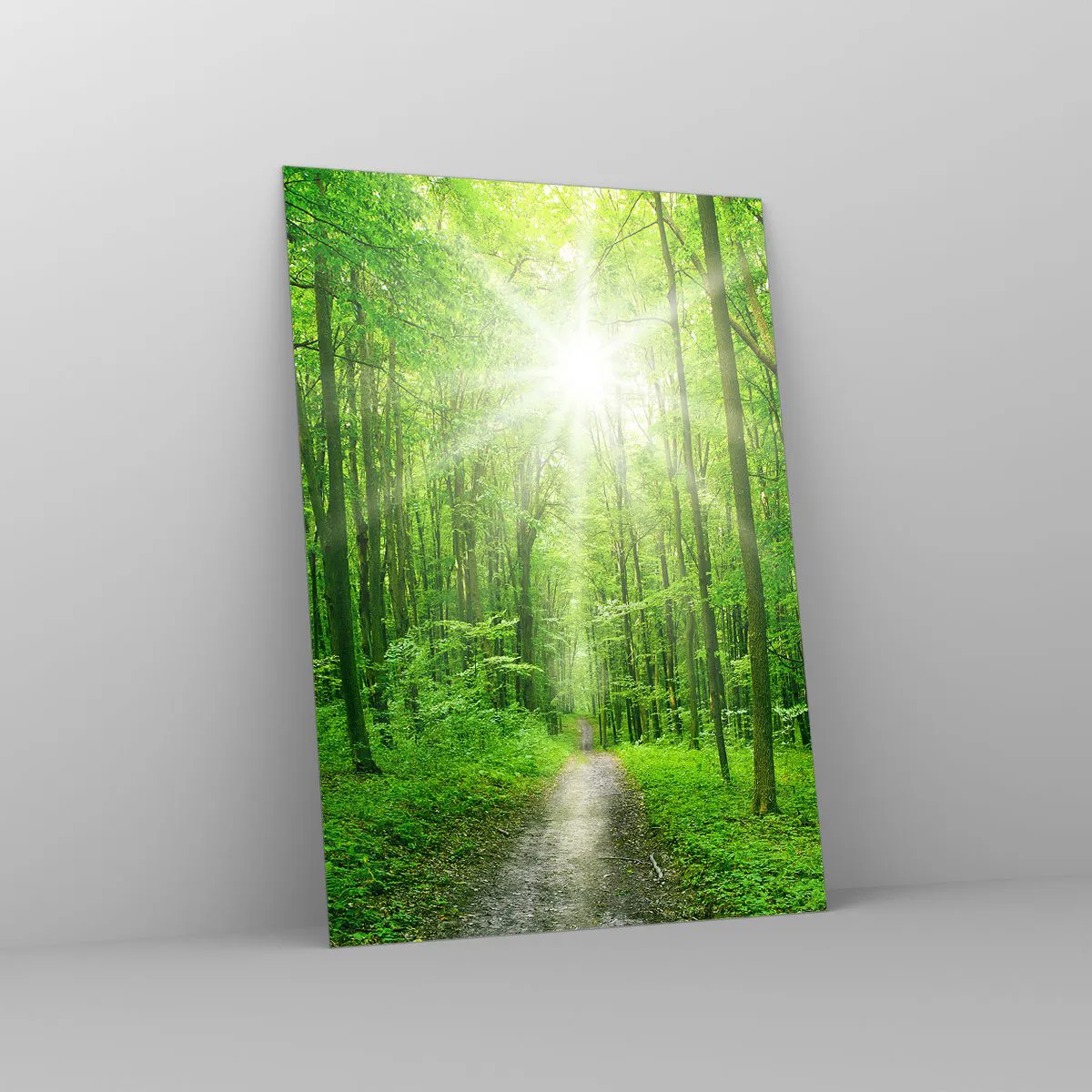 Cuadro sobre vidrio - Impresiones sobre Vidrio - Un camino en el bosque iluminado por los rayos del sol. - 50x70cm - Catedral verde - Decoración de pared moderna para salón y dormitorio ARTTOR