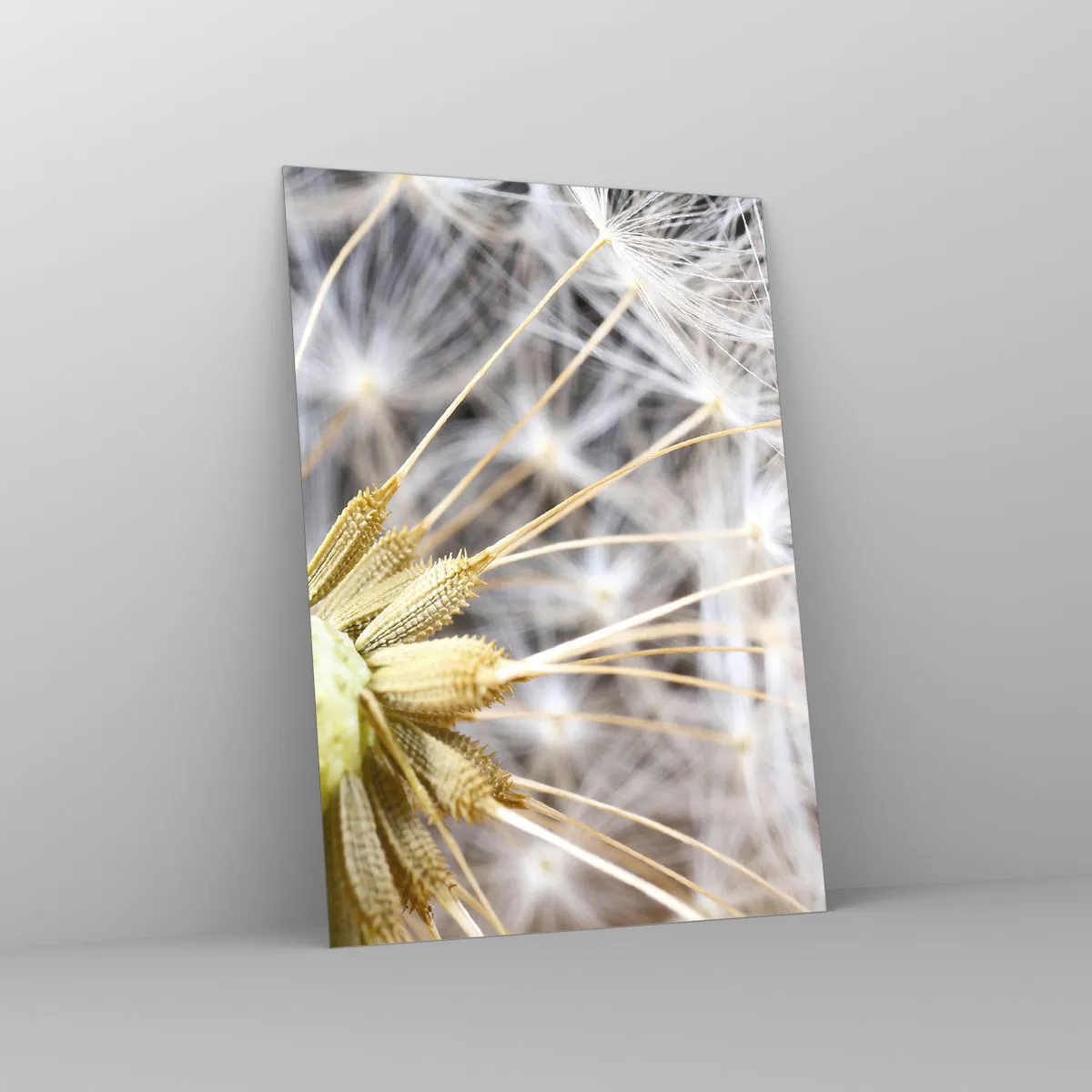 Impression sur verre - Image sur verre - Gros plan d'un pissenlit aux graines délicates - 50x70cm - Juste avant le départ - Décoration murale moderne pour le salon et la chambre ARTTOR