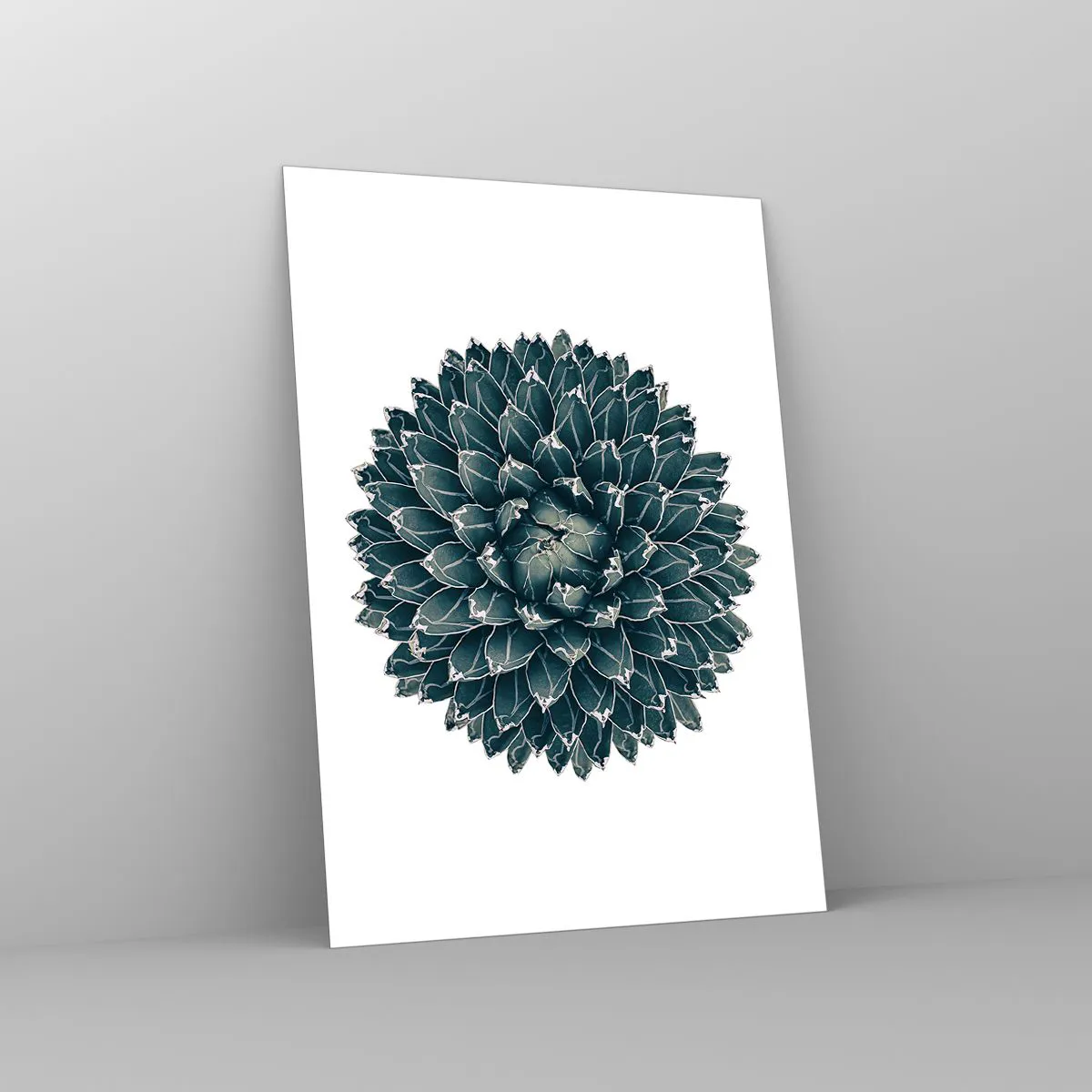 Obraz na szkle - Symetryczny wzór rośliny sukulenta na białym tle - 50x70cm - Gwiazda pustyni - Nowoczesna dekoracja ścienna do salonu, kuchni i sypialni ARTTOR