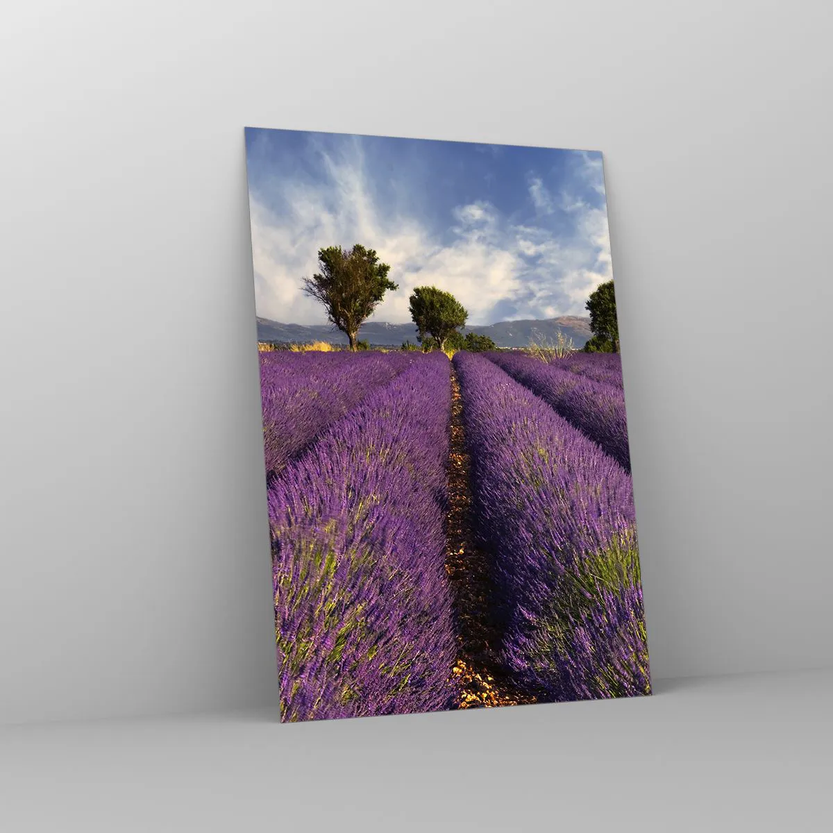 Üveg kép - Levendula mezők - 70x100 cm