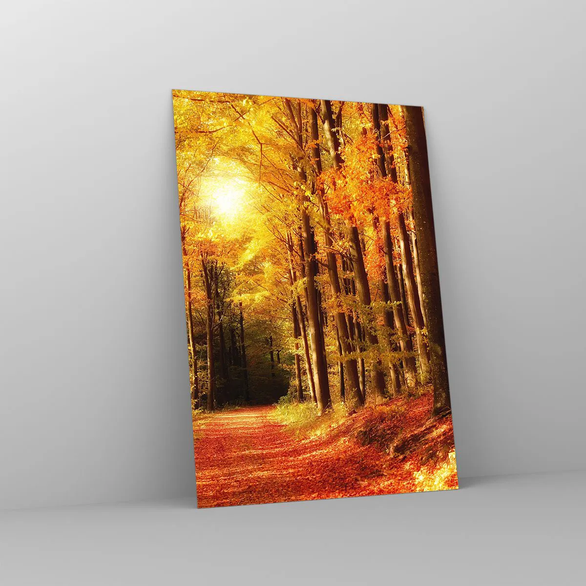 Quadro su vetro - Foresta autunnale con raggi di sole che brillano attraverso gli alberi - 70x100cm - Autunno dorato nella via nel bosco - Decorazione murale moderna per soggiorno e camera da letto ARTTOR
