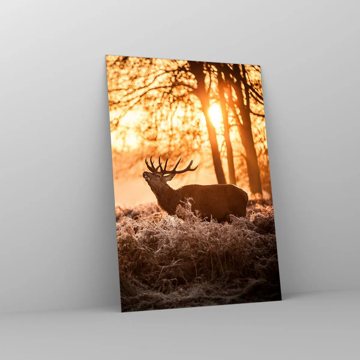 Impression sur verre - Image sur verre - Deux cerfs au coucher du soleil dans un paysage hivernal - 70x100cm - Le rêve d'un chasseur - Décoration murale moderne pour le salon et la chambre ARTTOR