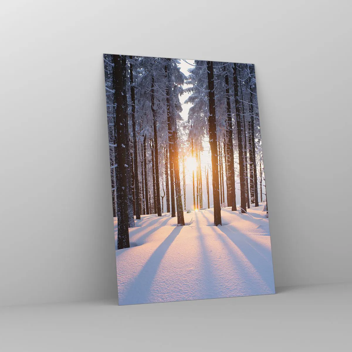 Cuadro sobre vidrio - Impresiones sobre Vidrio - Bosque invernal iluminado por los rayos del sol. - 70x100cm - Claramente en blanco y negro - Decoración de pared moderna para salón y dormitorio ARTTOR