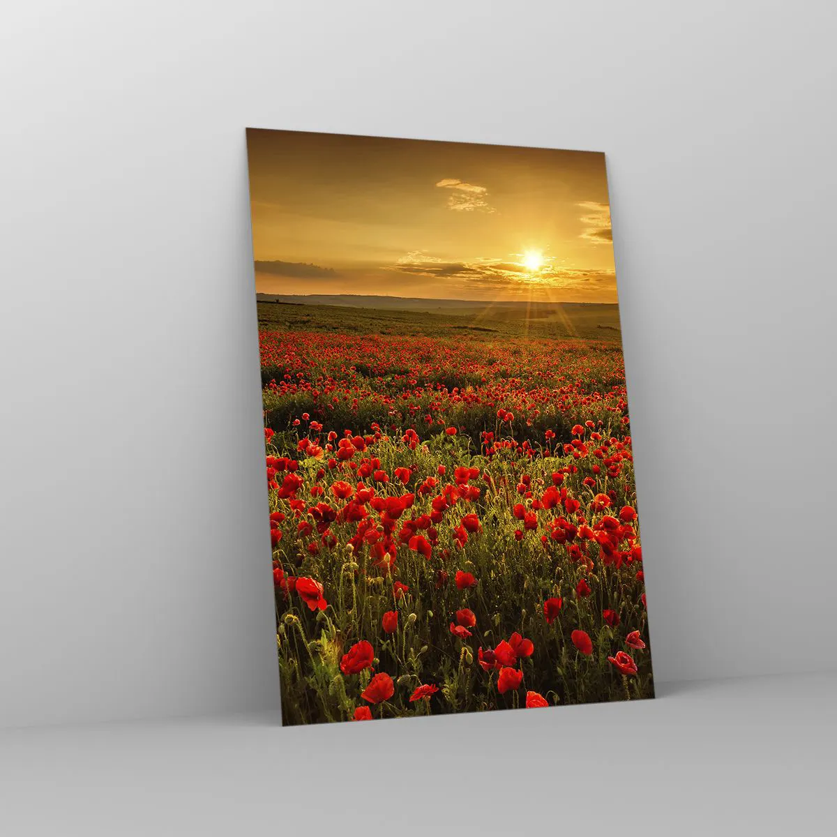 Cuadro sobre vidrio - Impresiones sobre Vidrio - Un campo de amapolas rojas bajo el resplandor del sol poniente. - 70x100cm - Entre los campos de flores - Decoración de pared moderna para salón y dormitorio ARTTOR