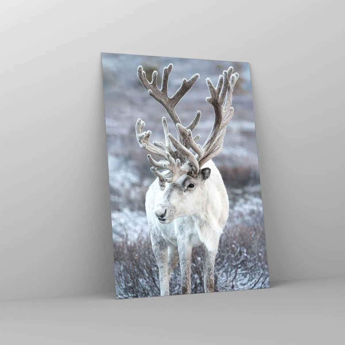 Obraz na szkle - Biały renifer na tle zimowego krajobrazu - 70x100cm - Portret w słońcu - Nowoczesna dekoracja ścienna do salonu i sypialni ARTTOR