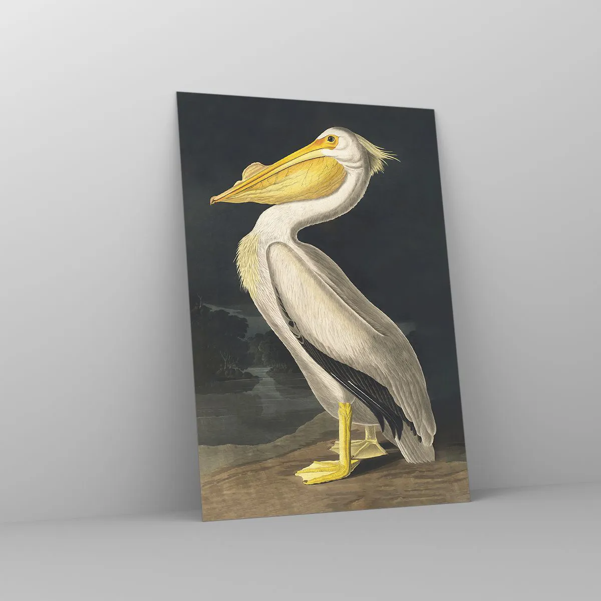 Cuadro sobre vidrio - Impresiones sobre Vidrio - Con orgullo - 70x100 cm