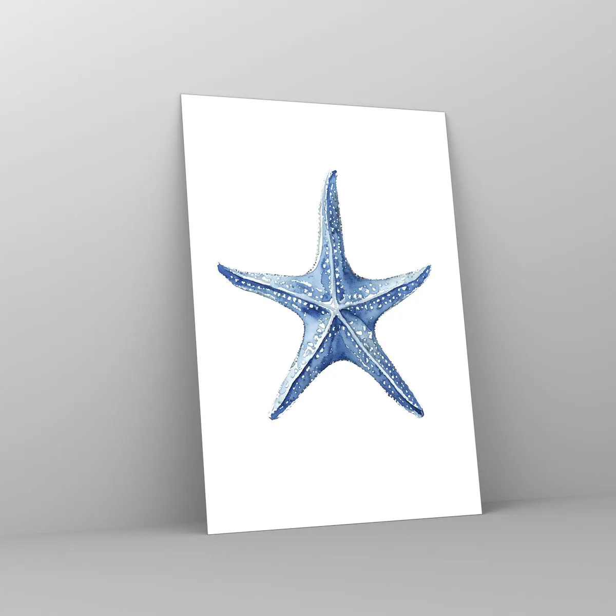 Obraz na skle - Hvězda moře - 70x100 cm