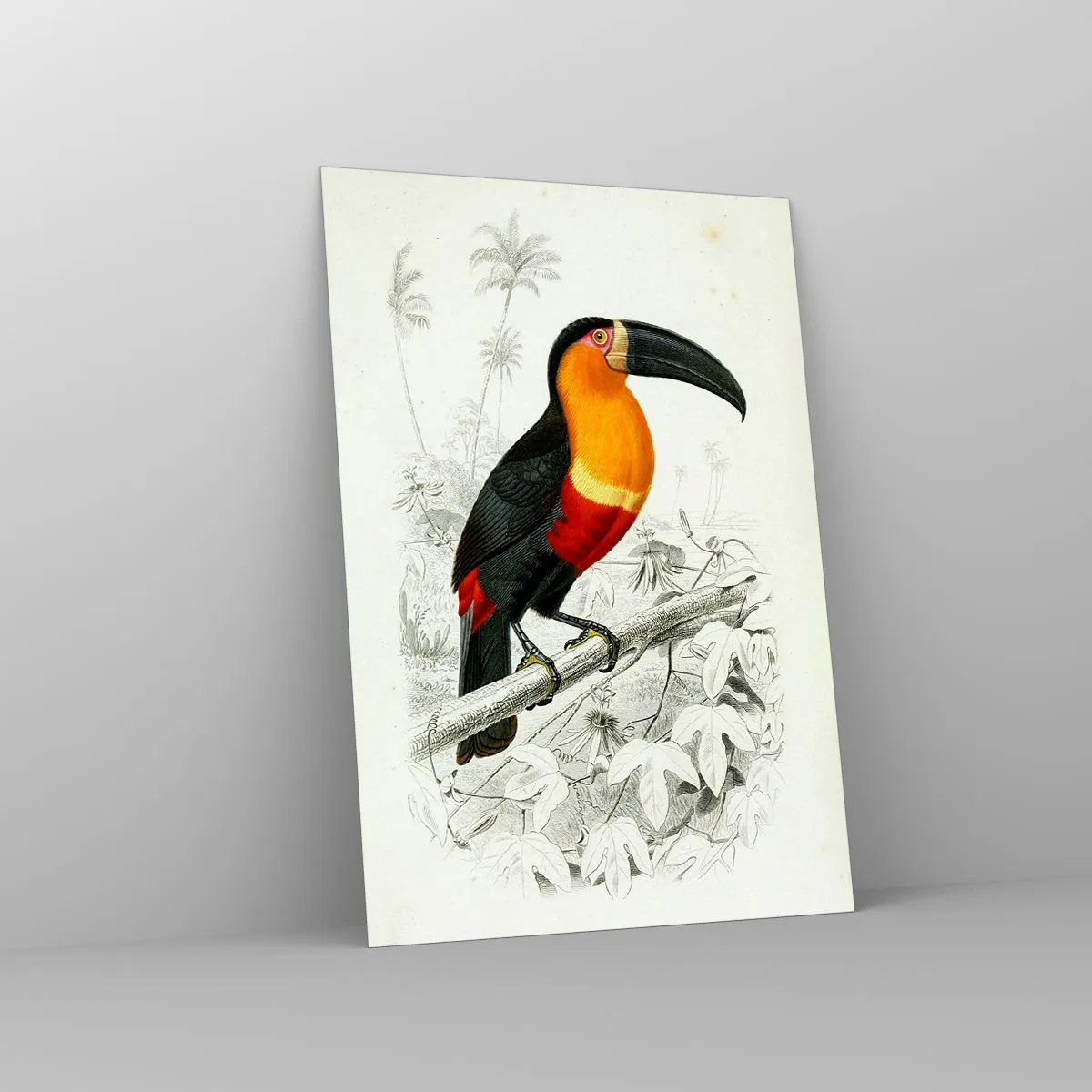 Glastavla - Bild på glas - Fåglarnas färger - 70x100 cm