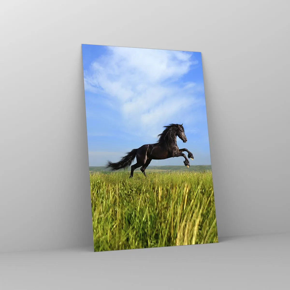 Impression sur verre - Image sur verre - Un cheval noir courant contre un ciel bleu et une prairie verte - 80x120cm - Un manifeste de liberté passionnant - Décoration murale moderne pour le salon et la chambre ARTTOR