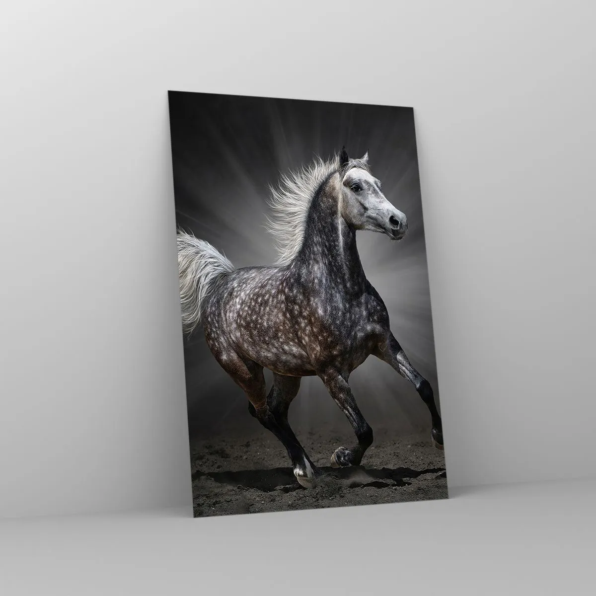 Schilderen op glas - Grijs is mooi - 80x120 cm