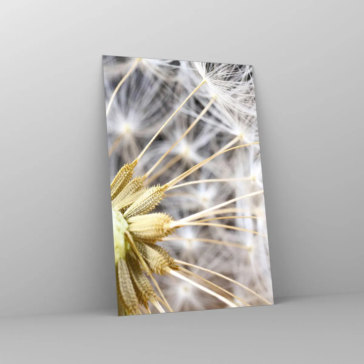 Tablou pe sticlă - Chiar înainte de zbor... - 80x120 cm