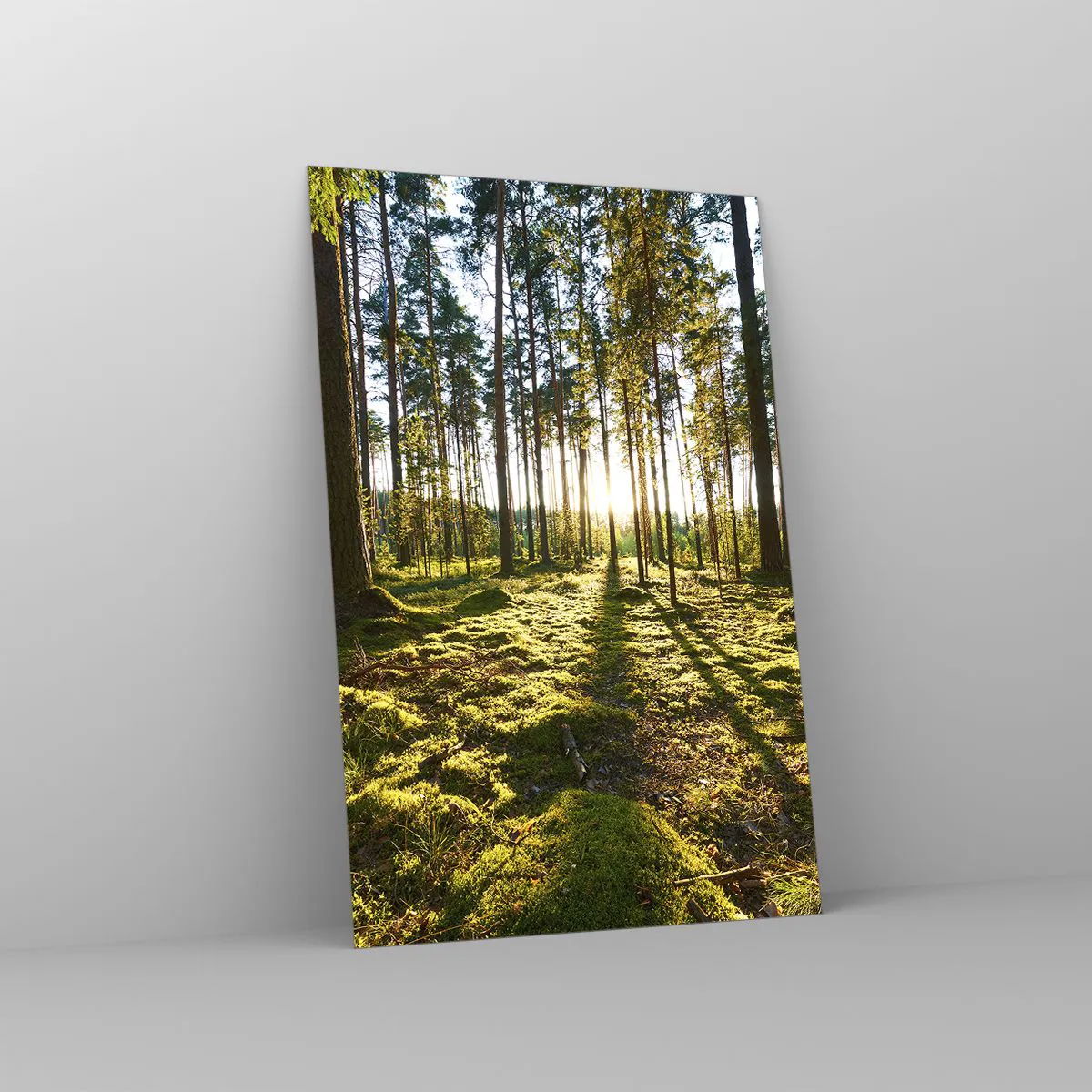 Quadro em vidro - ...Além das sete florestas - 80x120 cm