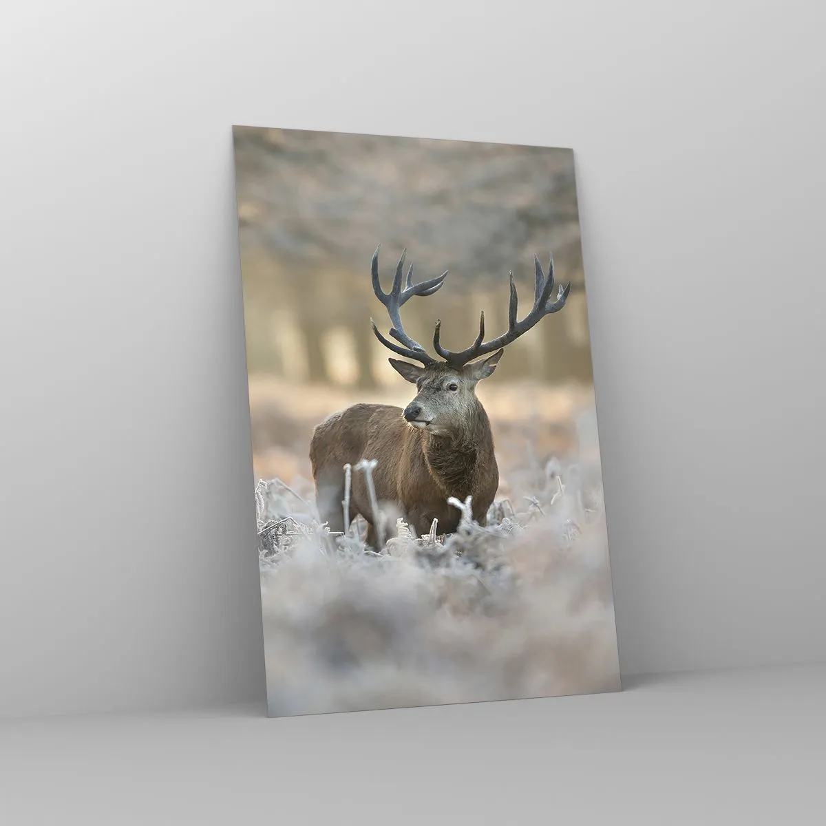 Cuadro sobre vidrio - Impresiones sobre Vidrio - Un ciervo en un claro helado en un bosque invernal con colores sutiles. - 80x120cm - Una mañana fresca - Decoración de pared moderna para salón y dormitorio ARTTOR