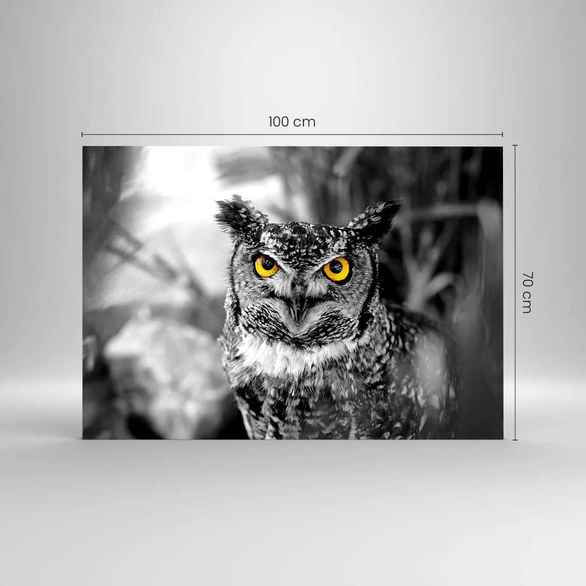 Impression sur verre - Image sur verre - Un hibou aux yeux jaunes sur fond noir et blanc - 100x70cm - Rien ne se cachera - Décoration murale moderne pour le salon et la chambre ARTTOR