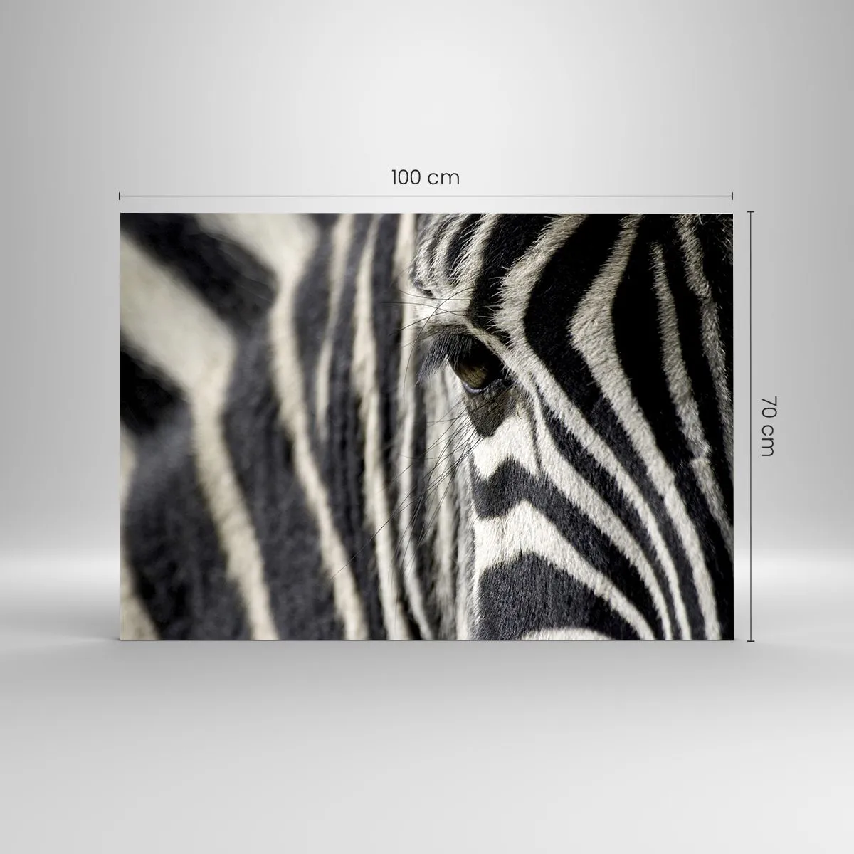 Obraz na skle - Portrét s pruhmi - 100x70 cm