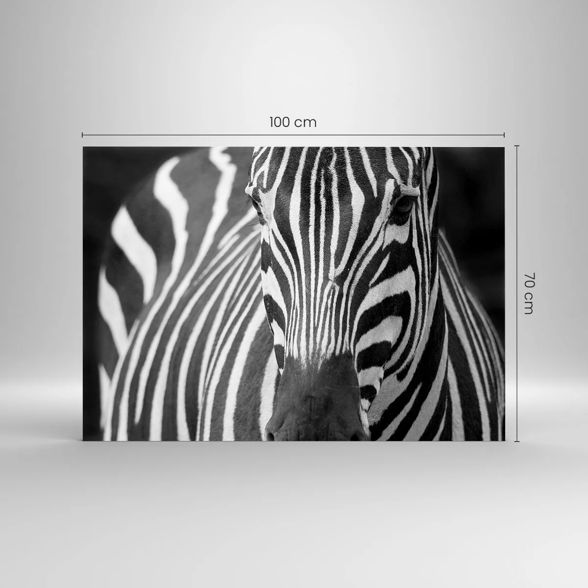 Impression sur verre - Image sur verre - Portrait noir et blanc d'un zèbre avec des rayures visibles - 100x70cm - Le monde est noir et blanc - Décoration murale moderne pour le salon et la chambre ARTTOR