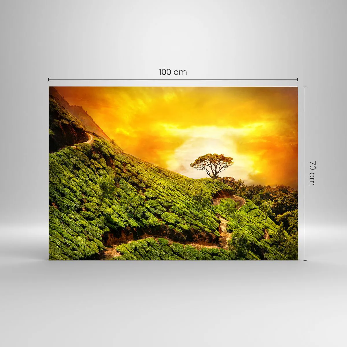 Billede på glas - En snoet sti, en grøn skråning - 100x70 cm