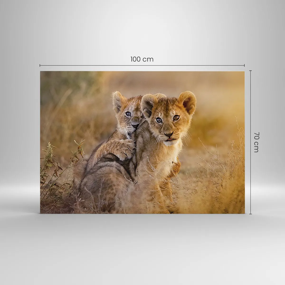 Glasbild - Bild auf glas - Zwei junge Löwenbabys in einer natürlichen Savanne - 100x70cm - Bitte nicht stören! Wir haben Spaß - Moderne Wanddekoration für Wohnzimmer und Schlafzimmer ARTTOR
