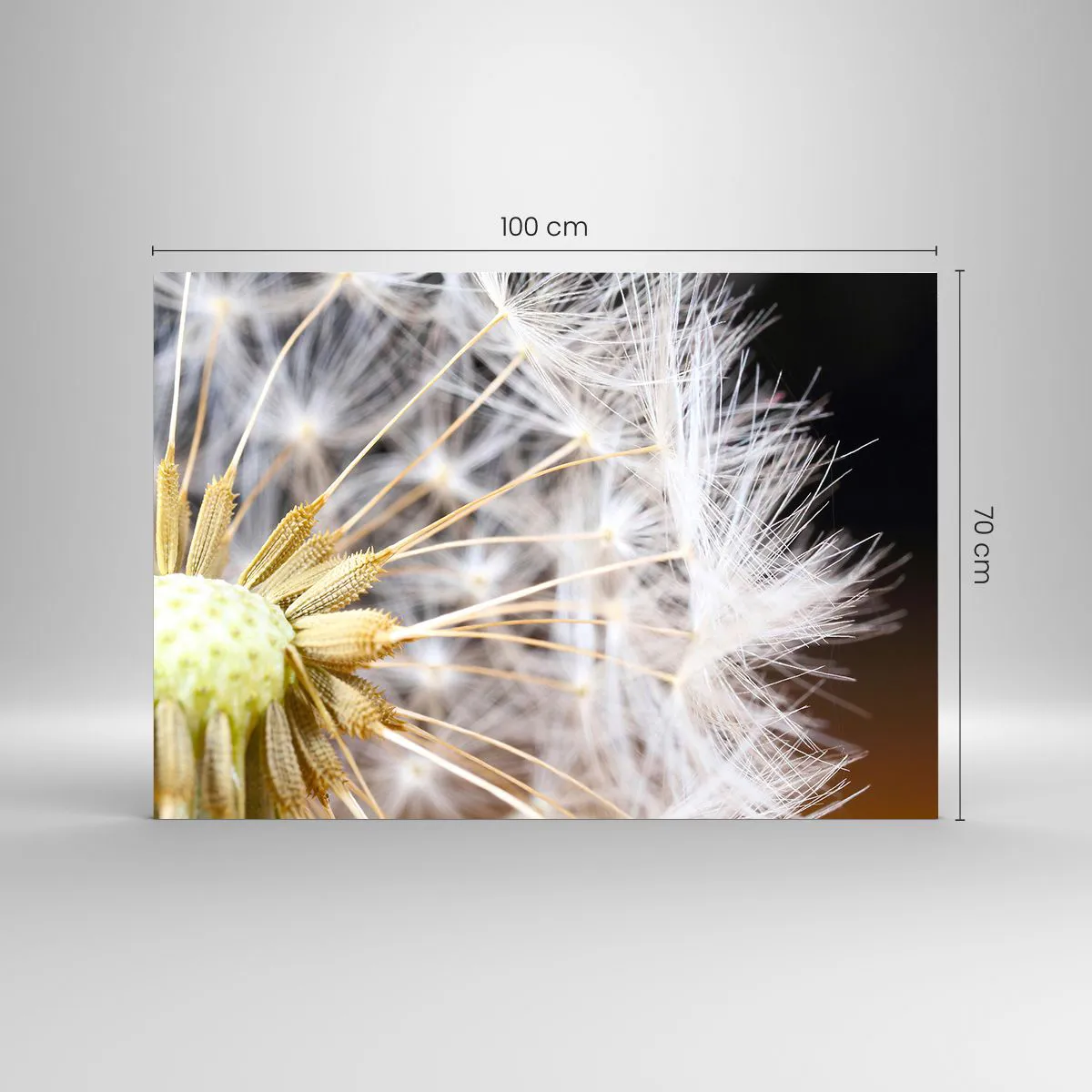 Impression sur verre - Image sur verre - Gros plan d'un pissenlit aux graines délicates - 100x70cm - Juste avant le départ - Décoration murale moderne pour le salon et la chambre ARTTOR