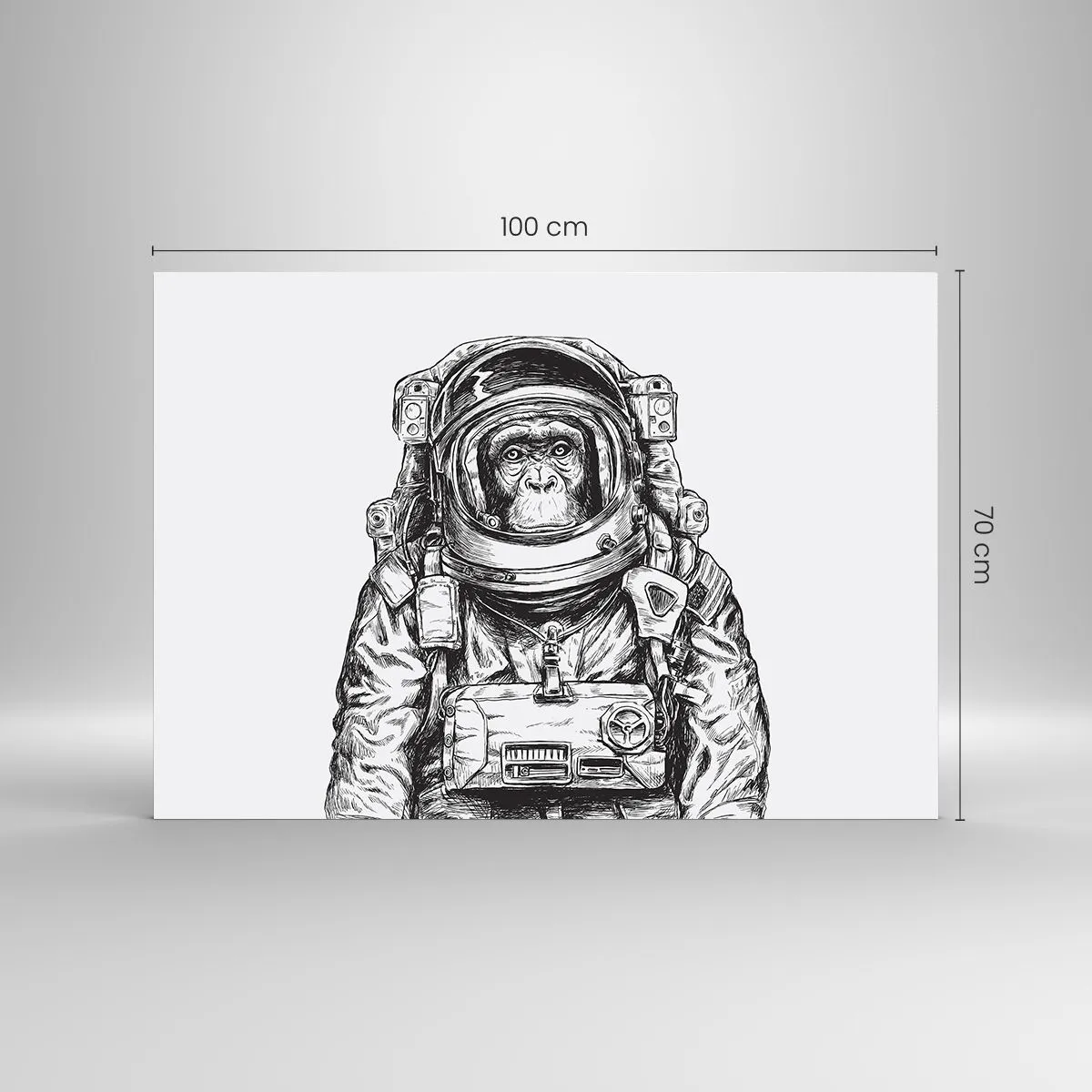 Obraz na skle - Alternatívny vývoj - 100x70 cm