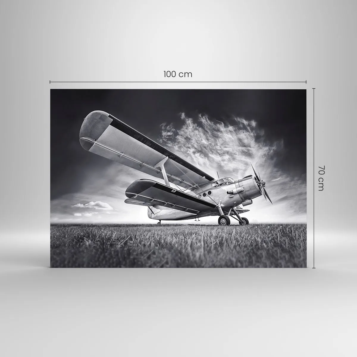 Quadro em vidro - Andarilho alado - 100x70 cm