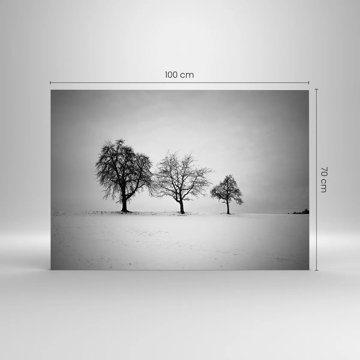Glasbild - Bild auf glas - Drei einsame Bäume in einer schneebedeckten Gegend - 100x70cm - Wovon träumen sie? - Moderne Wanddekoration für Wohnzimmer und Schlafzimmer ARTTOR