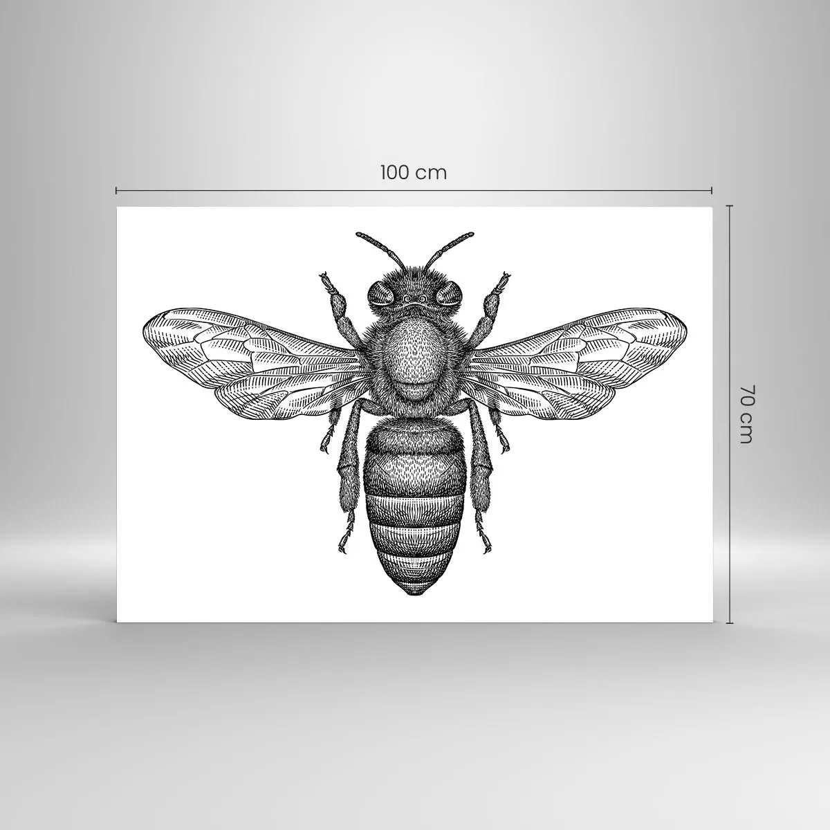 Cuadro sobre vidrio - Impresiones sobre Vidrio - Ilustración detallada de una abeja retro sobre un fondo blanco. - 100x70cm - Retrato de insecto - Decoración de pared moderna para salón y dormitorio ARTTOR