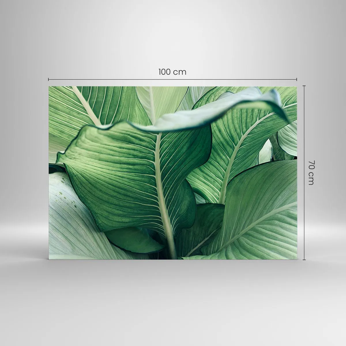 Impression sur verre - Image sur verre - Feuilles vertes luxuriantes en gros plan et à la lumière naturelle - 100x70cm - Une vie intensément verte - Décoration murale moderne pour le salon et la chambre ARTTOR