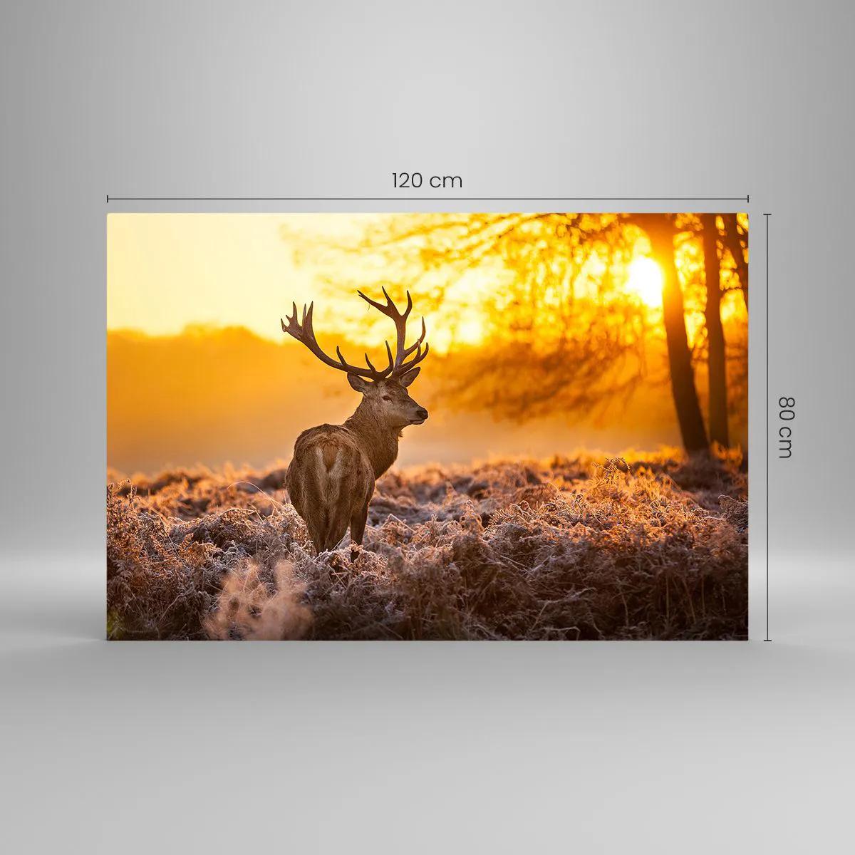 Üveg kép - Az őszi erdő királya - 120x80 cm