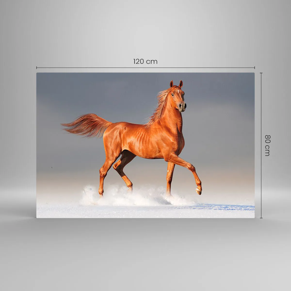 Obraz na szkle - Galopujący koń na tle jasnego nieba - 120x80cm - Tańcząca gracja - Nowoczesna dekoracja ścienna do salonu, kuchni i sypialni ARTTOR