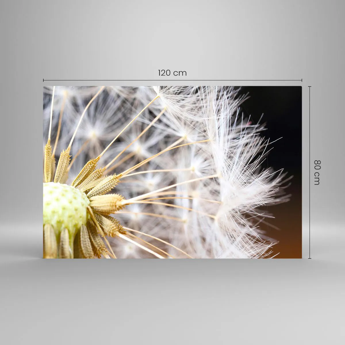 Glasbild - Bild auf glas - Nahaufnahme eines Löwenzahns mit zarten Samen - 120x80cm - Kurz vor dem Abflug - Moderne Wanddekoration für Wohnzimmer und Schlafzimmer ARTTOR