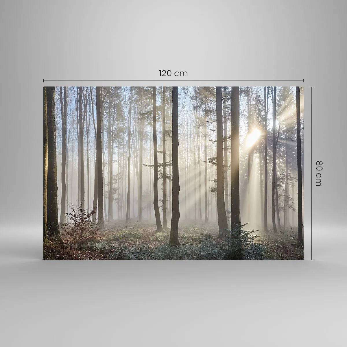 Glasbild - Bild auf glas - Morgensonnenstrahlen durchdringen den nebligen Wald - 120x80cm - Der Nebel ist auch aufgewacht - Moderne Wanddekoration für Wohnzimmer und Schlafzimmer ARTTOR