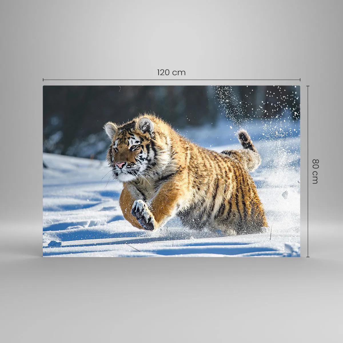 Impression sur verre - Image sur verre - Un tigre de Sibérie court dans la neige dans un paysage hivernal. - 120x80cm - Dieu de la taïga sibérienne - Décoration murale moderne pour le salon et la chambre ARTTOR