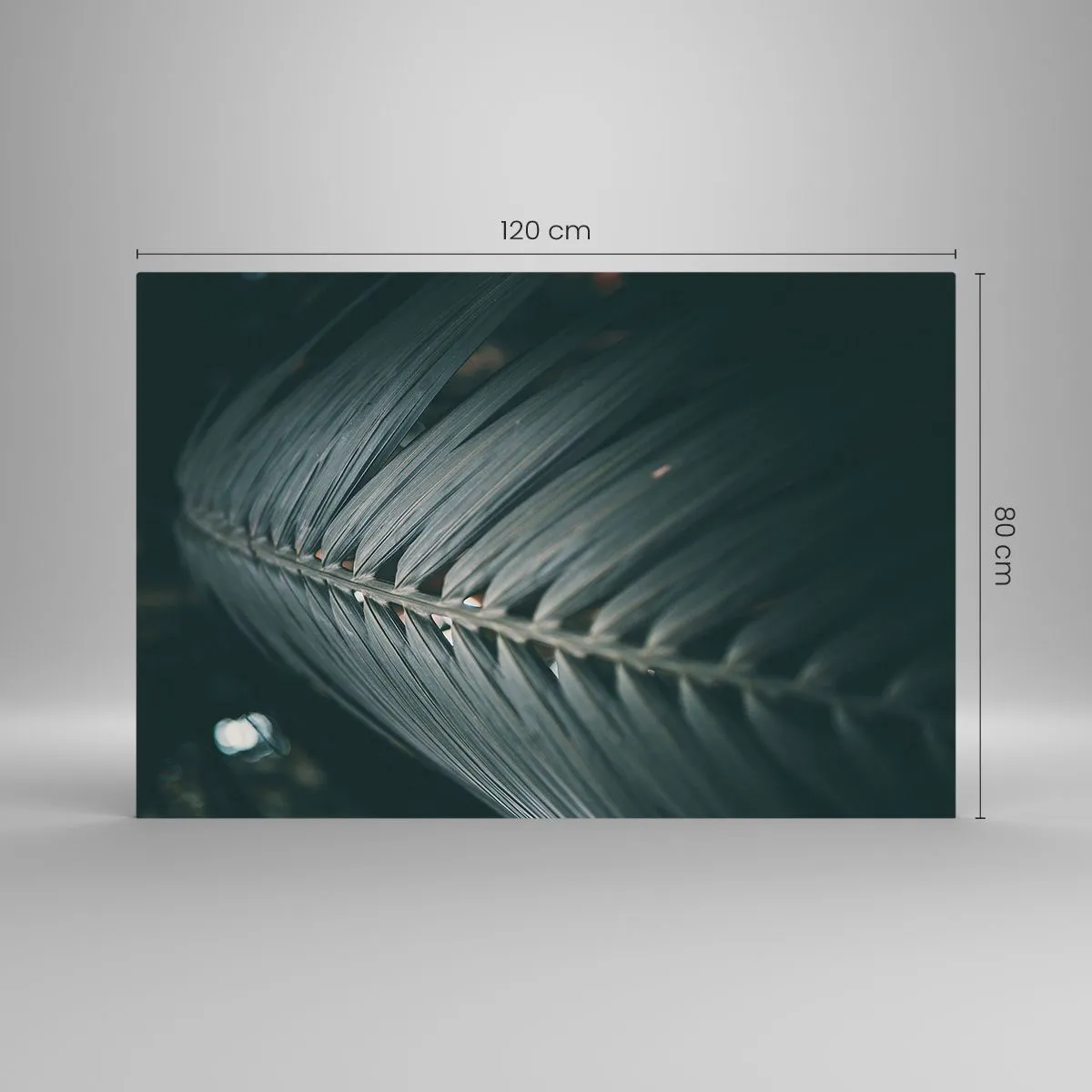Glasbild - Bild auf glas - Nahaufnahme eines dunkelgrünen Palmblattes mit Lichtreflexion - 120x80cm - Die Präzision der Natur - Moderne Wanddekoration für Wohnzimmer und Schlafzimmer ARTTOR