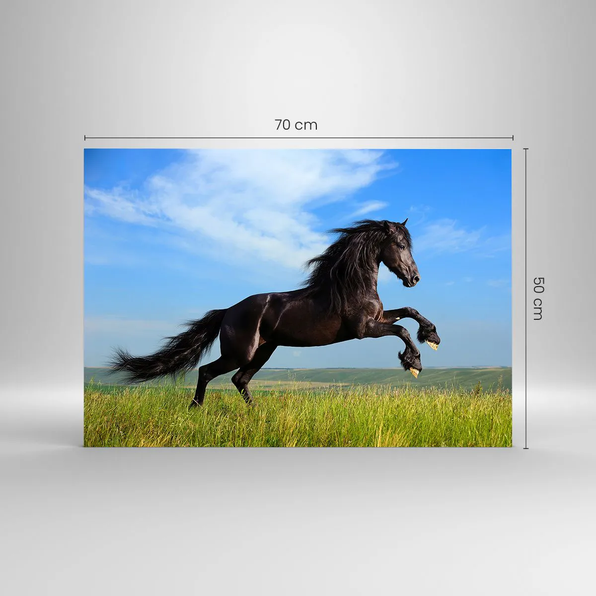 Tablou pe sticlă - Un cal negru galopând pe un cer albastru și o pajiște verde. - 70x50cm - Un manifest entuziast pentru libertate - Decorațiune modernă pentru perete pentru living și dormitor ARTTOR